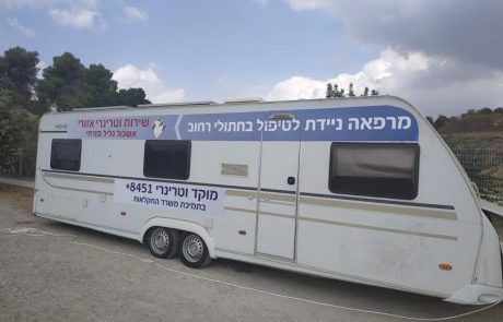 בצפת החלו בעיקור וסירוס חתולי רחוב