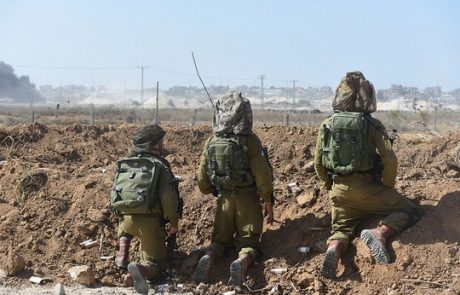 בהלת הכלבת בצפון: חיילים שנחשפו לבעל חיים נגוע בכלבת חוסנו בצפת