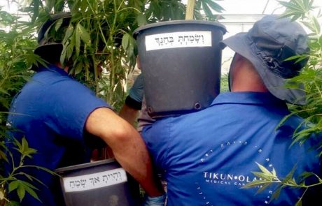 250 מיליון דולר מקאנביס – אקזיט מוצלח של משפחת כהן מביריה