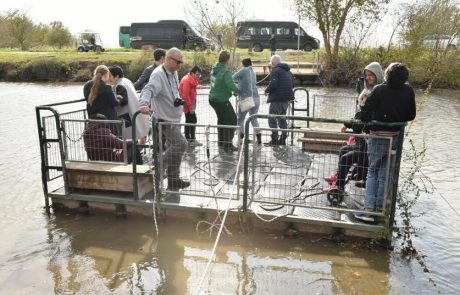 יום הנגישות הבינלאומי: מאות מבקרים עם מוגבלויות באגמון החולה