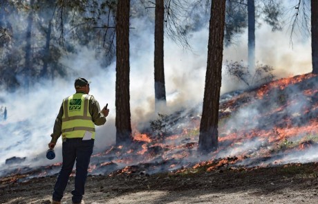נערכים לעונת השריפות בקק"ל: שריפה מבוקרת נערכה ביער ביריה