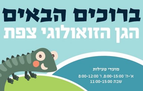 פינת החי בצפת הופכת לגן זואולוגי