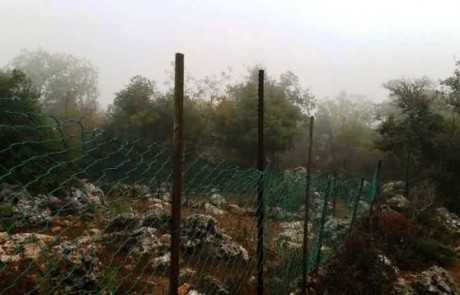 מעבר לגדר: מפקחי רשות מקרקעי ישראל פינו מסיג גבול שגידר שטח להרחבת ביתו בהר מירון
