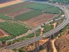 מועדים לשמחה ועומדים בפקקים: יום עצמאות בטוח בכבישים