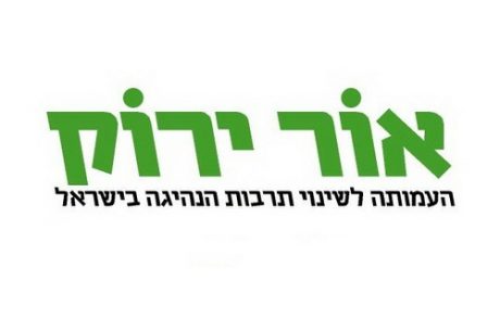 בעמותת "אור ירוק" מאשימים:"העומס הכבד בבתי המשפט לתעבורה מביא לעסקאות טיעון"