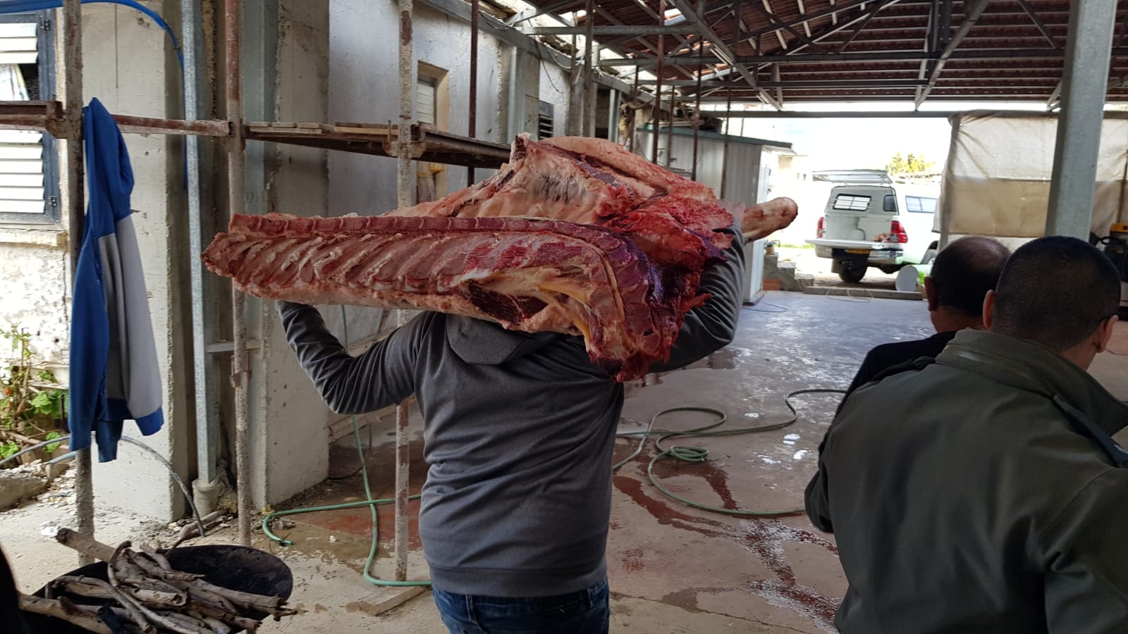 בפשיטה של משטרת צפת נתפס טון בשר החשוד כשחיטה שחורה