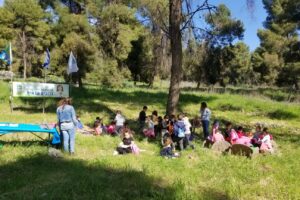 יער בראש פינה