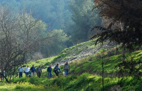 סוכות בקק"ל: סיורי צפרות באגמון החולה – הפנינג בפארק התכלת – פארק חבלים בביריה